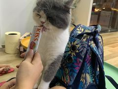 -拜鲁耶动物诊疗中心·宠家动物医院