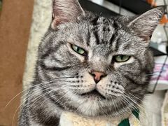 -平行世界·猫咖(首经贸店)