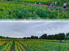 -汉长安城未央宫国家考古遗址公园