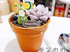 雪芙肉肉-哈根达斯(天河城店)
