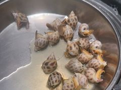 -青蓬蒸汽海鲜·深圳老字号·团建聚会(壹方城店)