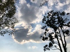 -上海怡沁园度假酒店