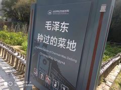 -延安杨家岭革命旧址