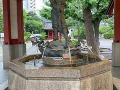 -浅草寺