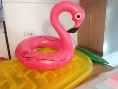 -重庆海昌加勒比海水世界