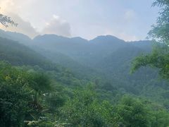 -洪霞餐馆