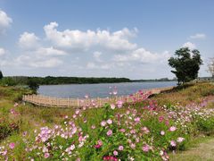 -南京枫彩漫城