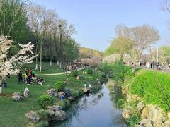 -羊山湖公园