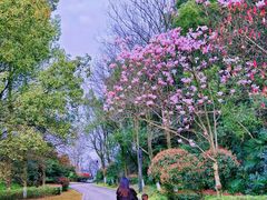 -闻泰花园酒店