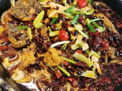 -老板恋上鱼(恒隆广场店)