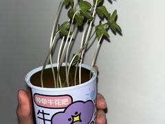 -海底捞火锅(宇飞大厦店)