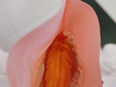-粉粉乐鲷鱼烧(美罗城店)