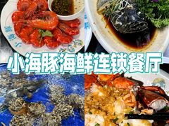 -亚龙湾热带天堂森林公园