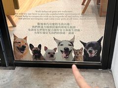 -VEGA VEGA 我行我素