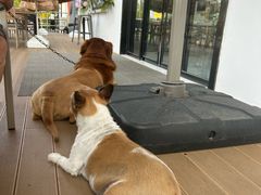 -seeu coffee(江滩店)