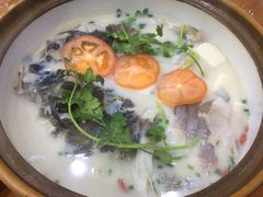 -全乐鱼馆·淳牌有机鱼直营店