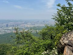 -紫金山山顶公园