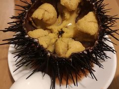 -海胆小馆(东北水饺·春柳店)