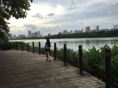 -南宁南湖公园