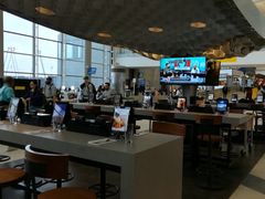 -纽瓦克自由国际机场