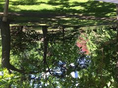 旧道厅-北海道厅旧本厅舍(旧本庁舎)