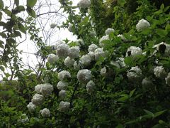 景点-穹窿山景区