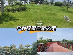 -王借岗森林公园