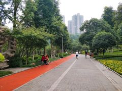 -龙头寺公园