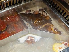 -蜀九鼎毛肚火锅(惠安店)