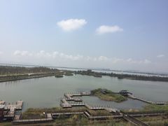 -芒洲湿地公园