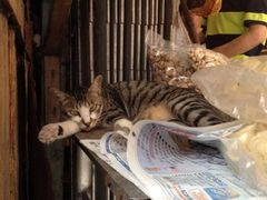 iphone_upload_pic-大澳