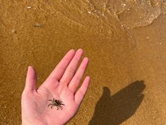 -威海国际海水浴场旅游区