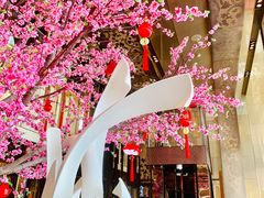 -金轩中餐厅 Jin Xuan(浦东丽思卡尔顿酒店)