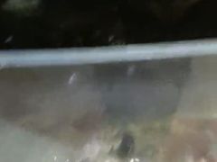 招牌海鲜炒粉干-小厨师·二十年沈家门小海鲜(百井坊巷店)