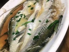 太湖白鱼-云河农家乐饭店(福禄缘树山店)