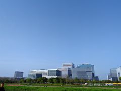 -春花秋色城市公园