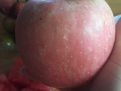 -鲜丰水果(仙霞路店)