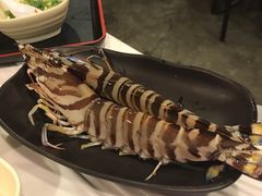 -鲜入围煮花胶鸡海鲜火锅