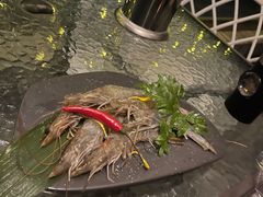 -道乐烧肉酒馆