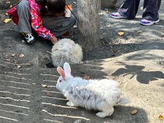 -水上乐园·欢乐世界