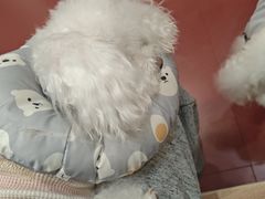 -和它·交个朋友·狗咖猫咖(爱琴海店)