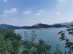 -望湖烤鱼