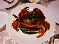 -广州四季酒店·佰鲜汇·现代法餐