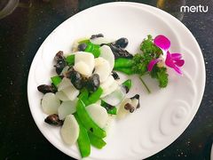 -云中小雅