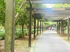-九龙潭景区