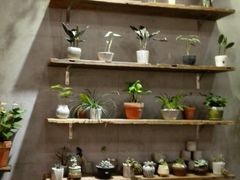 -BOBLOOM花店(宝龙旭辉广场店)