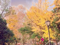 -南京特殊教育师范学院(燕子矶校区)