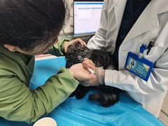 -达爱动物医院·犬猫分区·CT·复杂眼科(远洋山水分院)