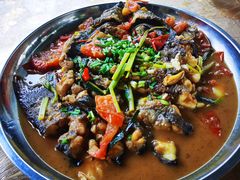 漓江芝麻剑-柴火农家饭(遇龙河店)