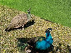 -金庭庄园酒店-停车场